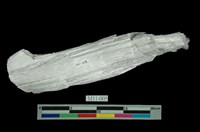 藏品(石棉)的圖片